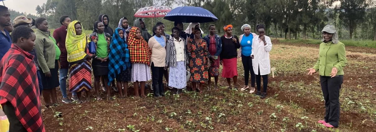 Training day 3, presentation of production methods on Kisii's agroecological model farm