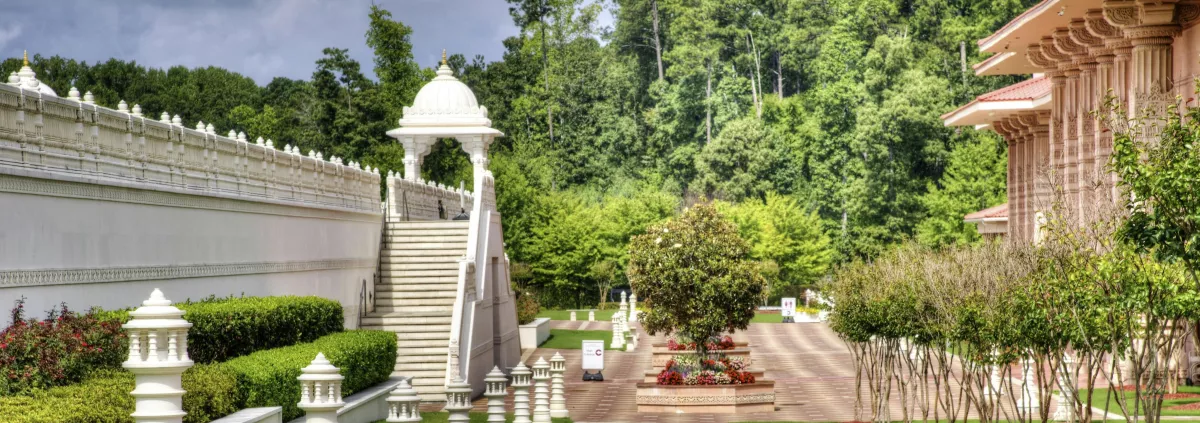 Jardin 