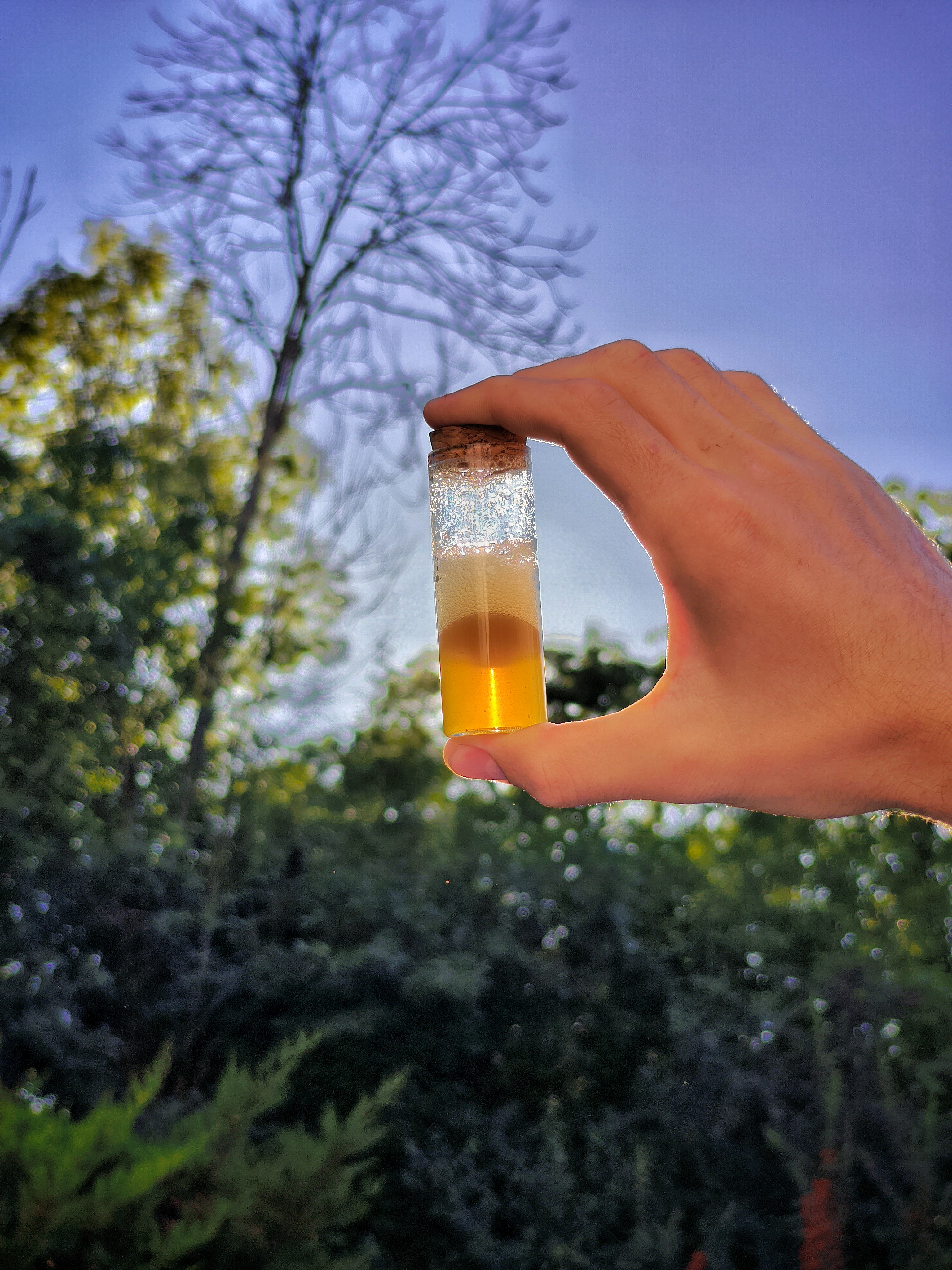 saponine